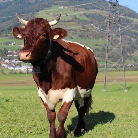 Stöcklgut Lägenhet *