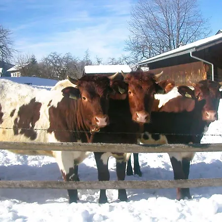 Stöcklgut Lägenhet *